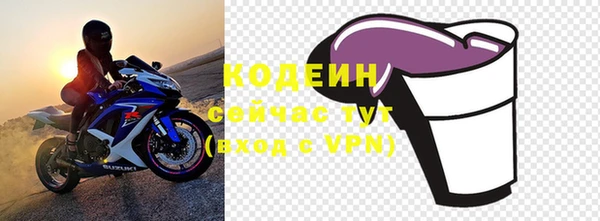 СК Медвежьегорск