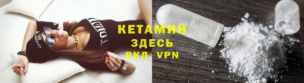сатива Абаза