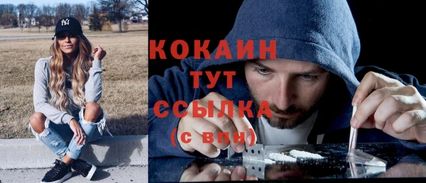 сатива Абаза