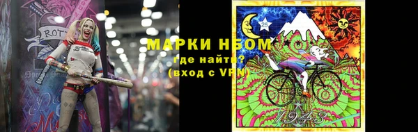 СК Медвежьегорск