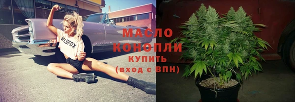 гидропоника Медногорск