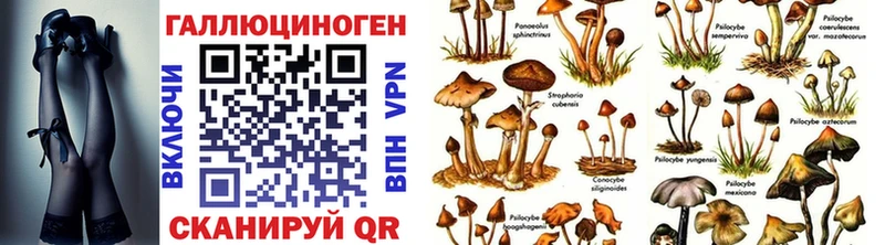 Псилоцибиновые грибы Cubensis  маркетплейс состав  omg tor  Благовещенск  закладка 